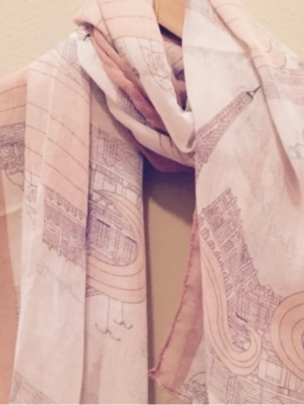 Brand New Paris scarf